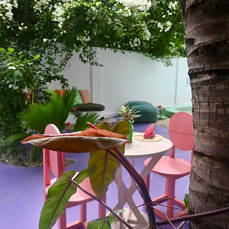 Minted Boutique Hotel-3